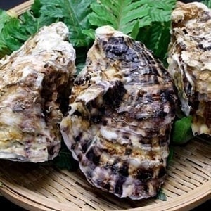 岩牡蠣